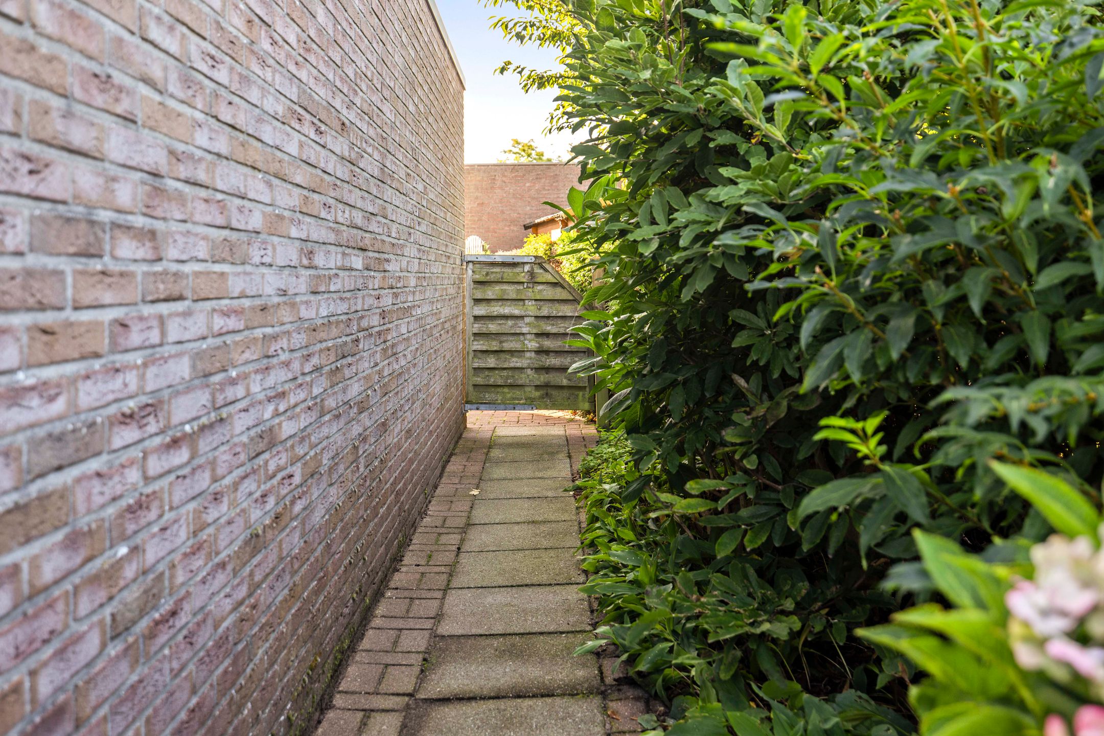 Photo 27 of Bachstraat 26-C