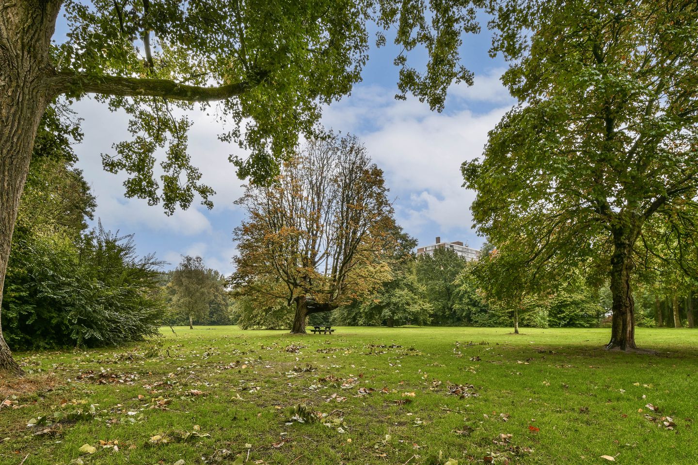 Foto 29 van Oldenaller 60