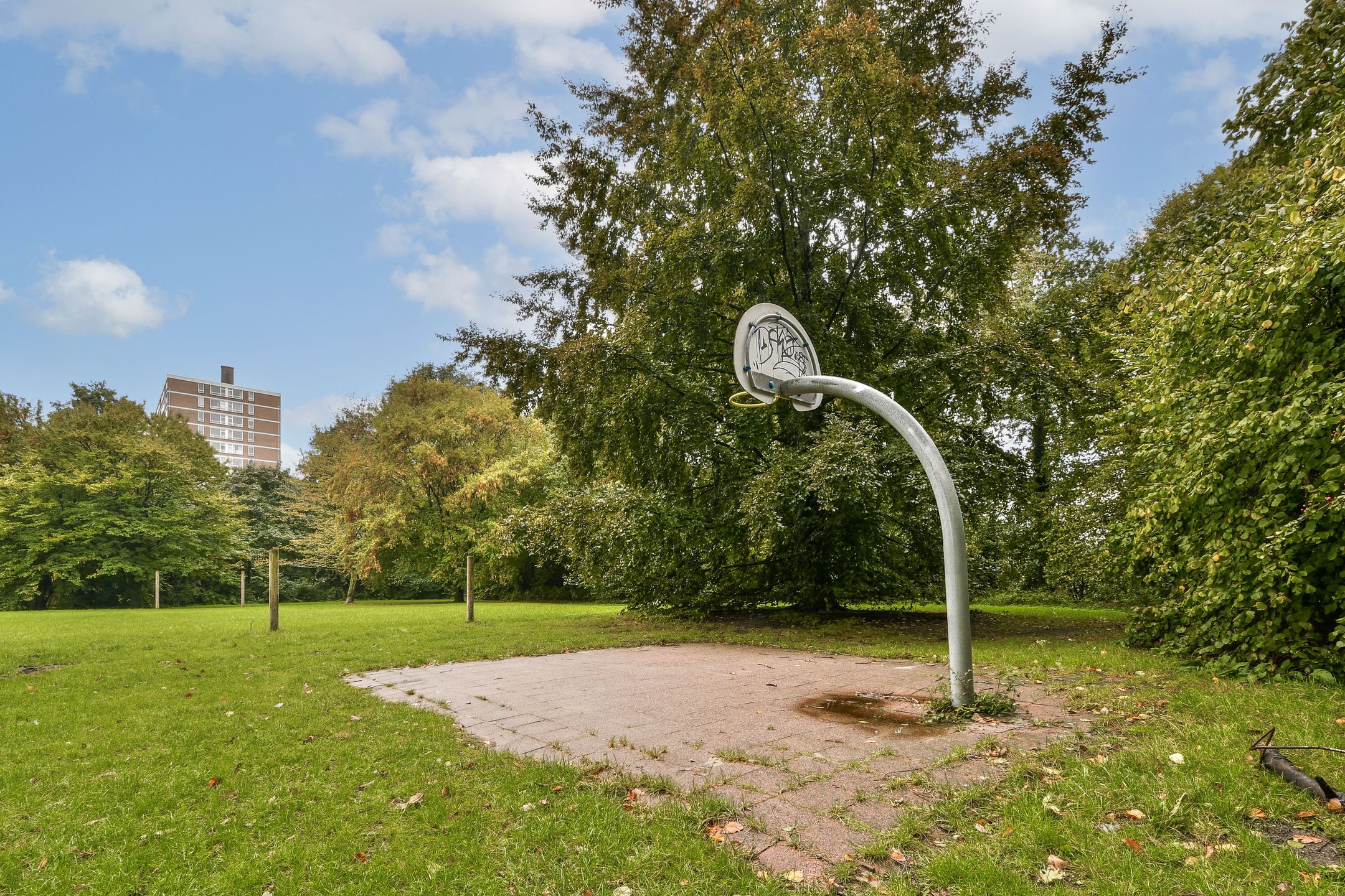 Foto 30 van Oldenaller 60