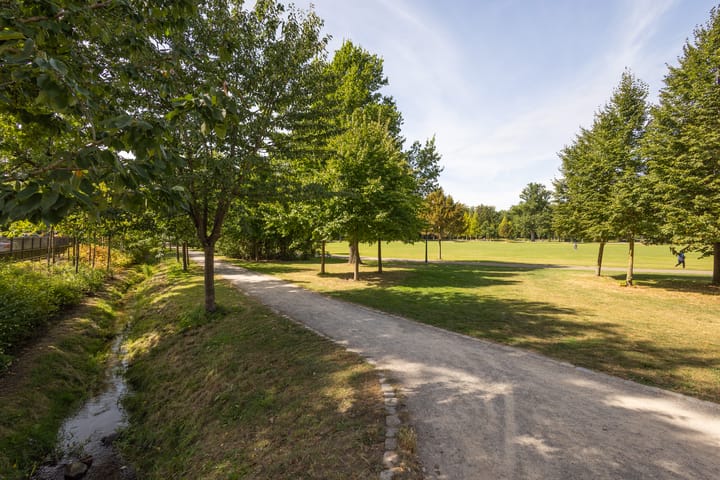 Foto 47 van Boddenkampstraat 96