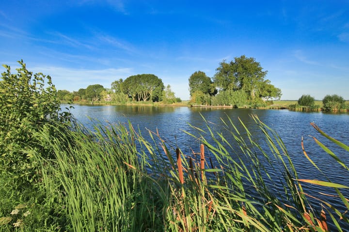 Photo 88 of Rondehoep West 43-A