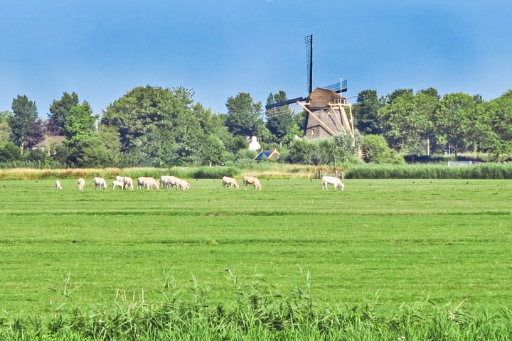 Photo 94 of Rondehoep West 43-A