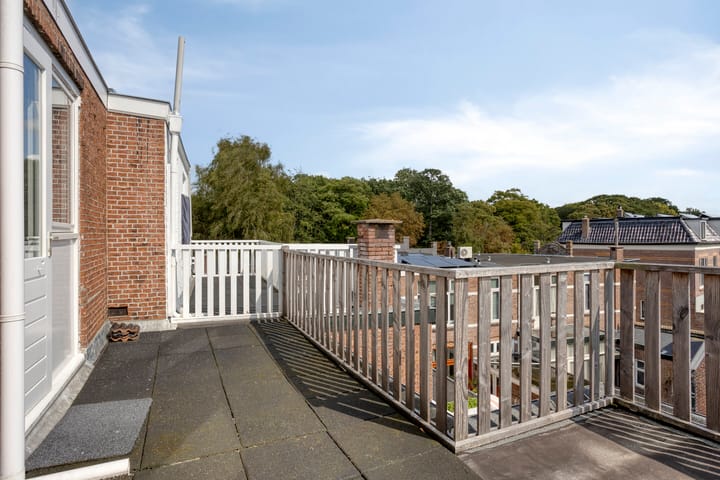 Foto 41 van Spanjaardslaan 85