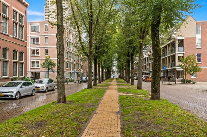 Foto 47 van Uilebomen 19