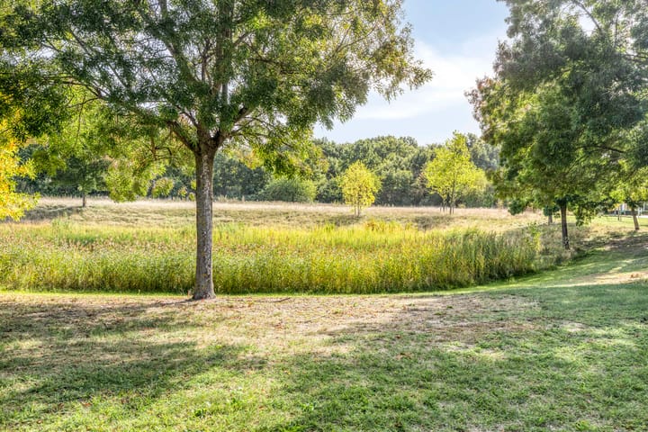 Foto 52 van Schutteheide 1-284