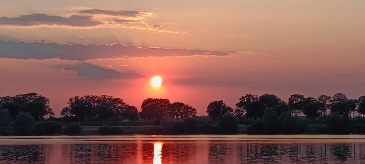 Foto 55 van Schutteheide 1-284