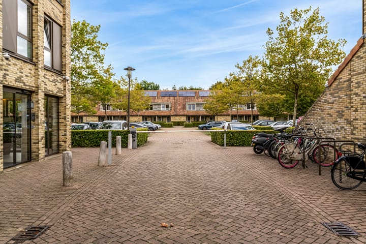 Foto 26 van Edmond Audranstraat 205