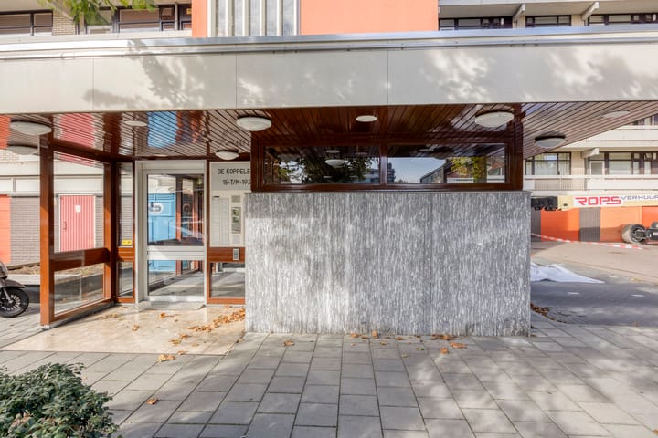 Foto 5 van de Koppele 147