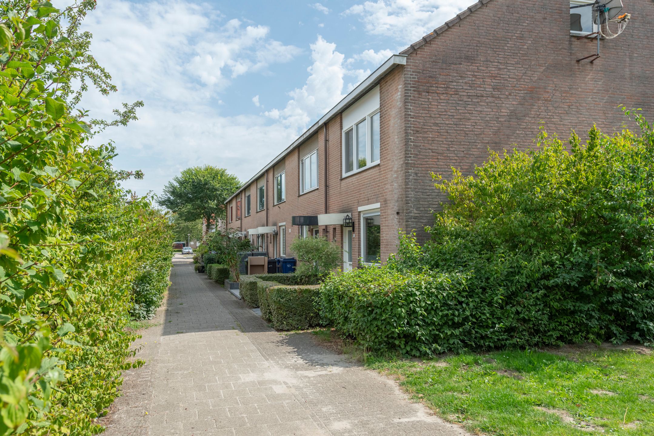 Foto 3 van Bitterkruidpad 13