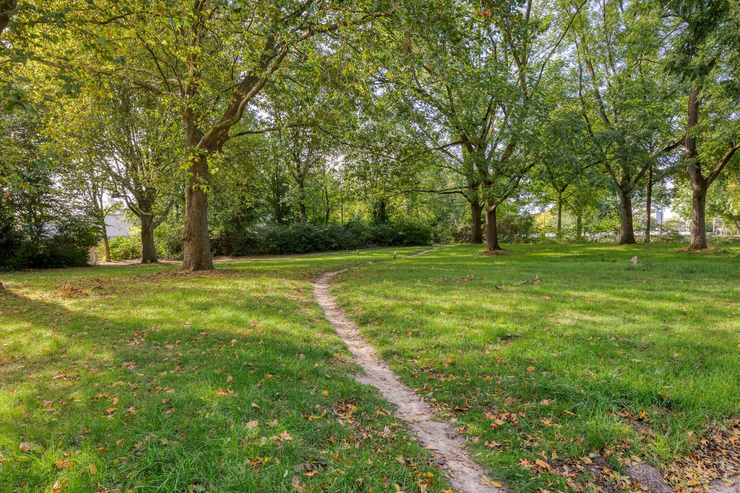 Foto 35 van de Koppele 147