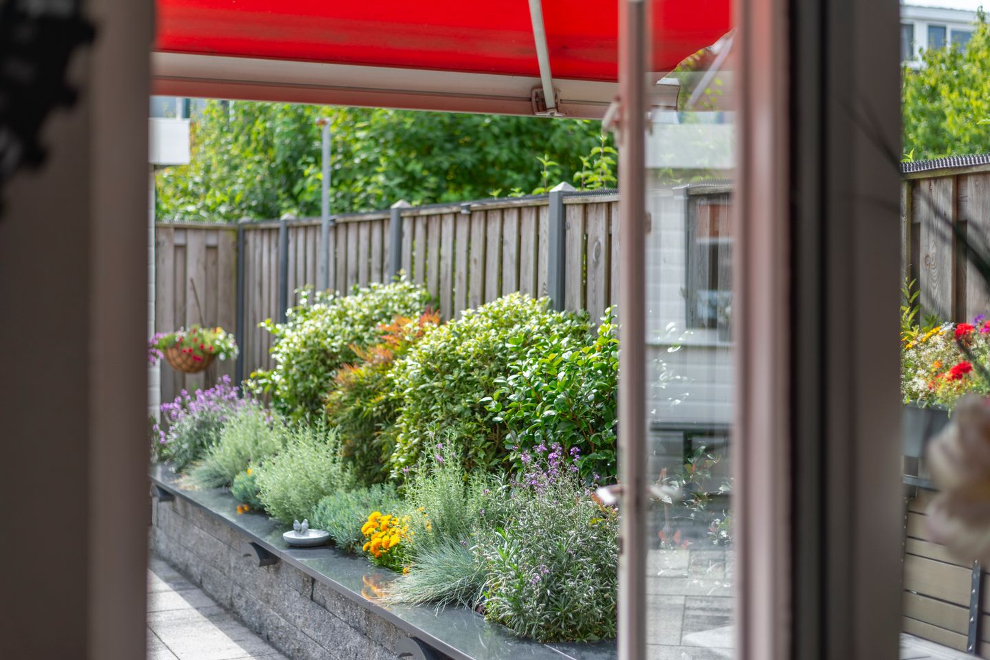 Foto 34 van Bitterkruidpad 13