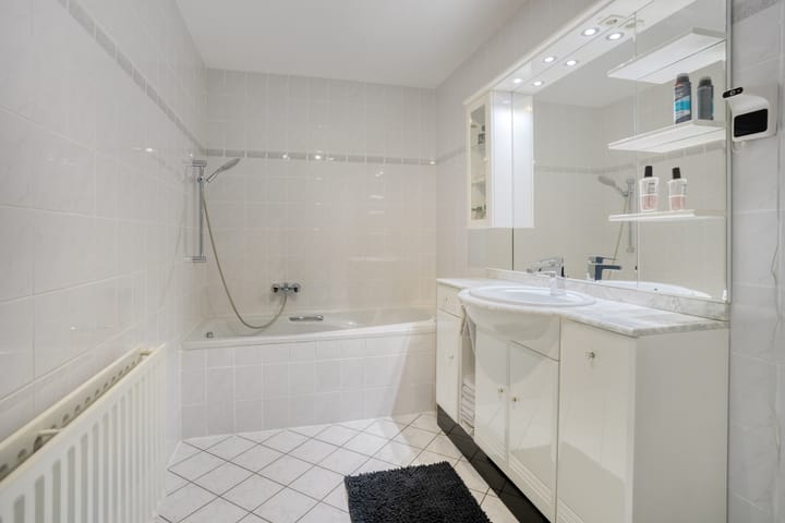 Foto 20 van Sphinxlunet 62-H