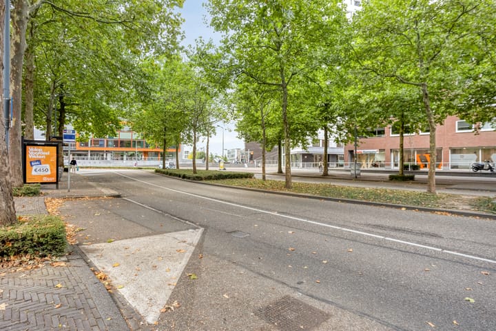 Foto 26 van Sphinxlunet 62-H