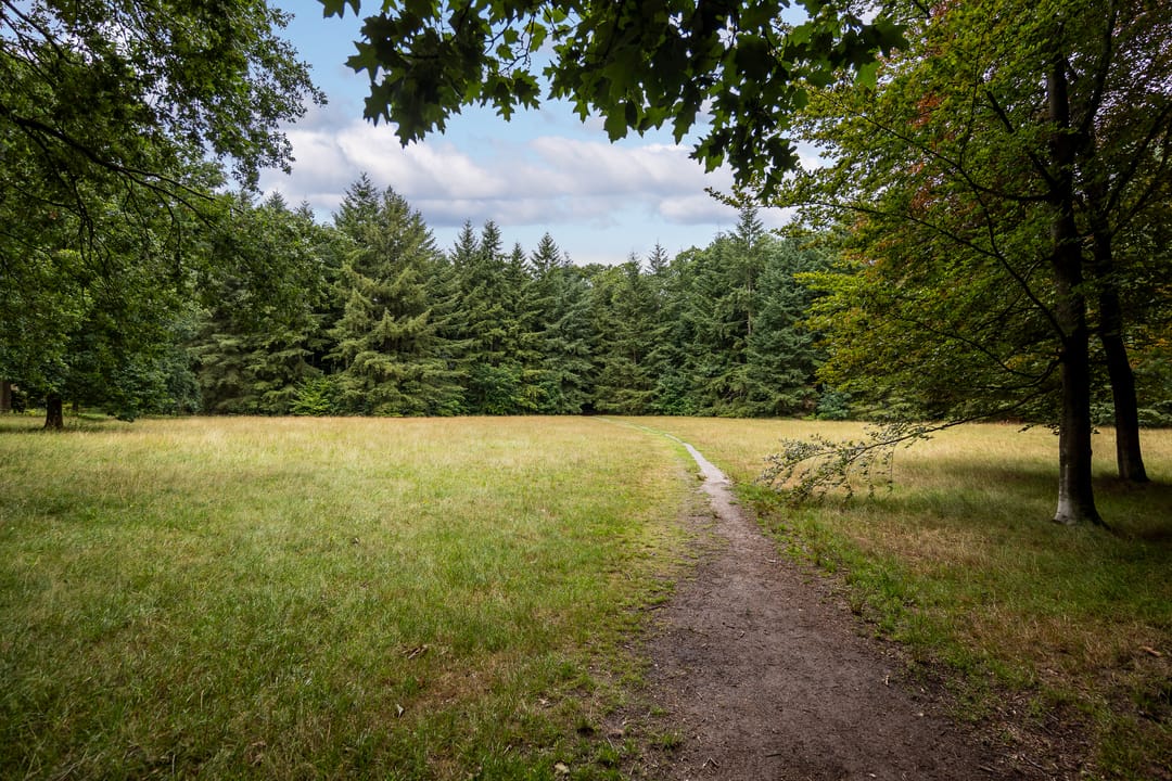 Foto 31 van Park Sparrendaal 113