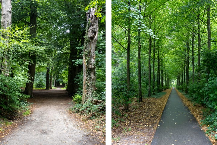 Foto 32 van Park Sparrendaal 113