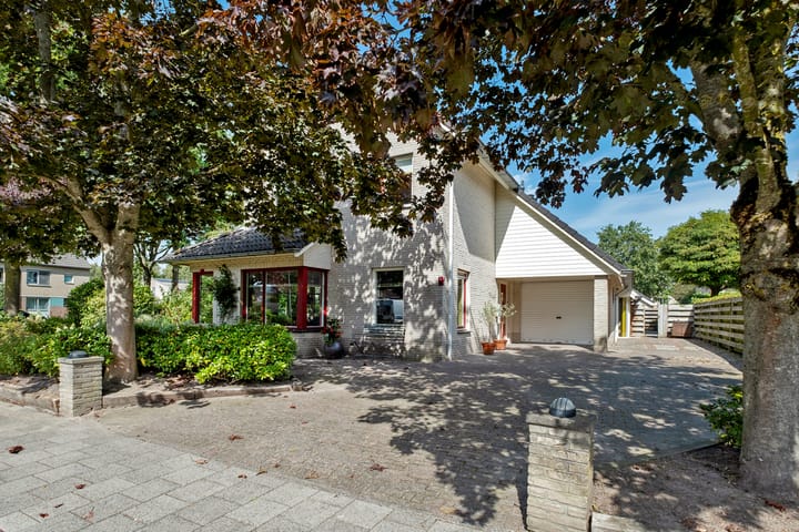 Foto 1 van Podzolhamel 1