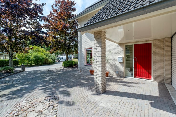 Foto 2 van Podzolhamel 1