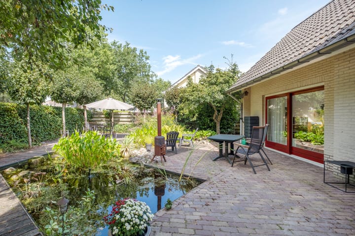 Foto 40 van Podzolhamel 1