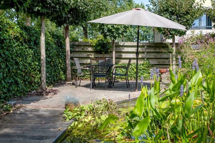 Foto 41 van Podzolhamel 1