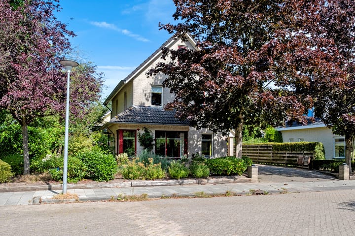 Foto 42 van Podzolhamel 1