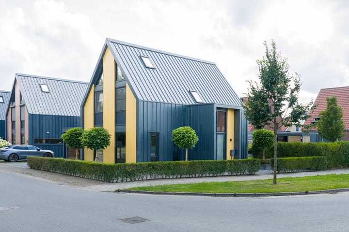 Foto 4 van Alde Terp 21