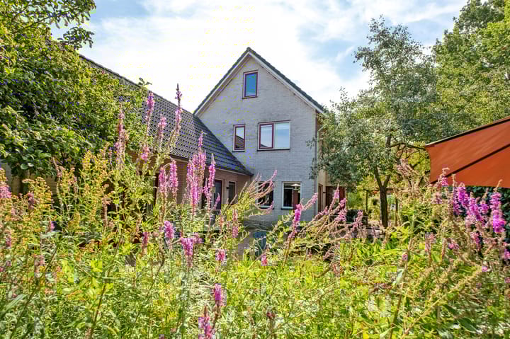 Foto 43 van Podzolhamel 1