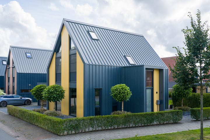 Foto 5 van Alde Terp 21