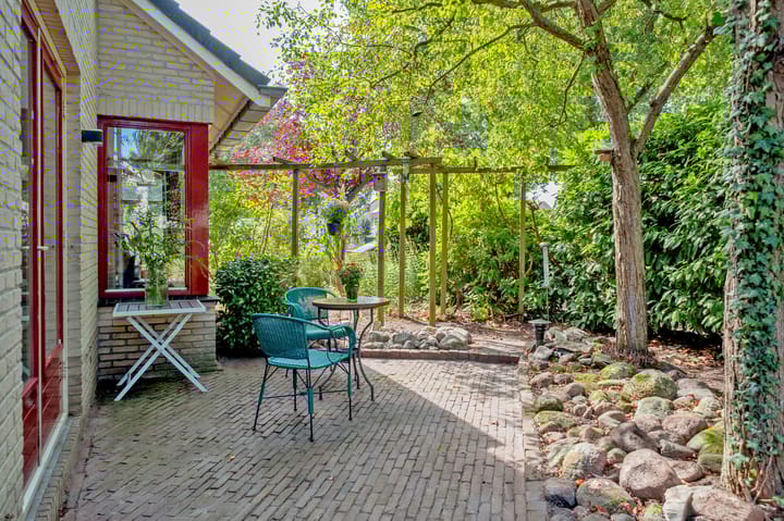 Foto 44 van Podzolhamel 1