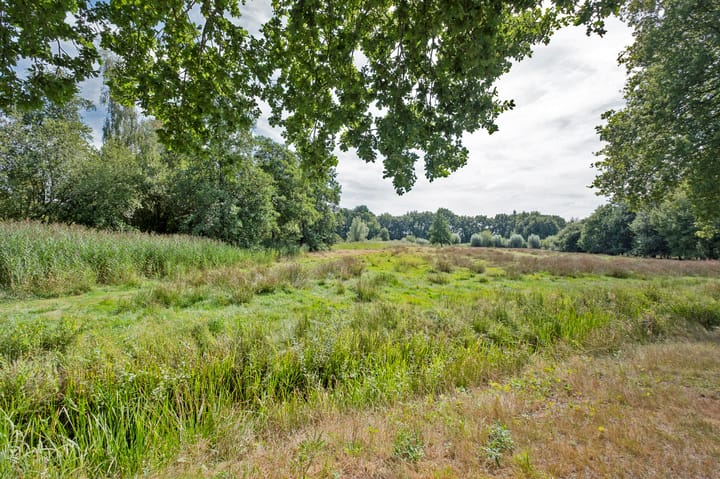 Foto 47 van Podzolhamel 1