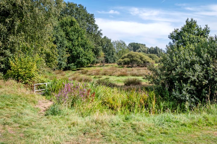 Foto 48 van Podzolhamel 1