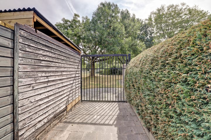 Foto 34 van Aronskelk 35