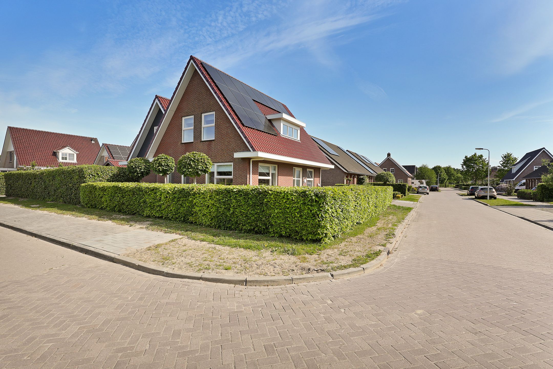 Foto 6 van Gentiaan 20