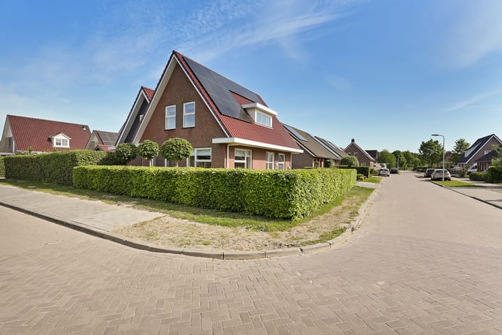 Foto 6 van Gentiaan 20