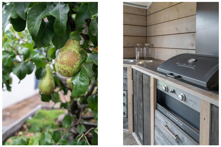 Foto 19 van Lijsterbesstraat 34