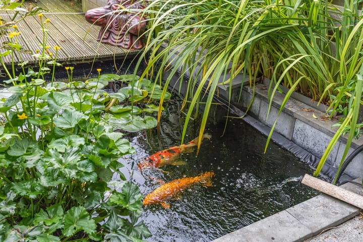 Photo 22 of Fluit 28