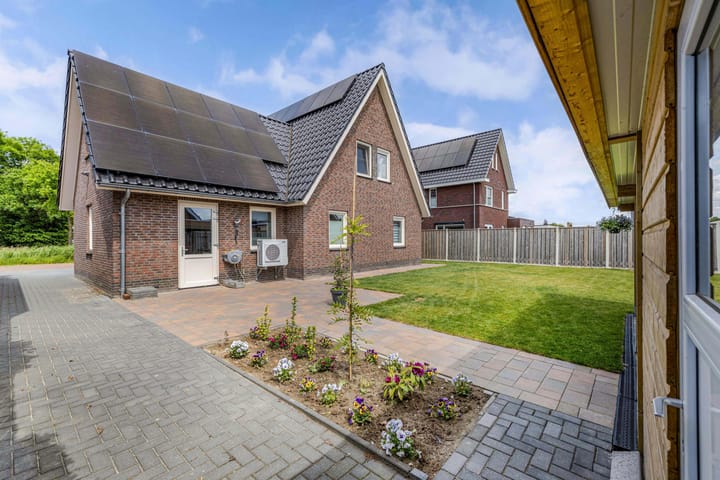 Foto 2 van Chrysant 22