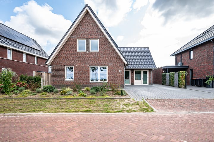 Foto 7 van Chrysant 22