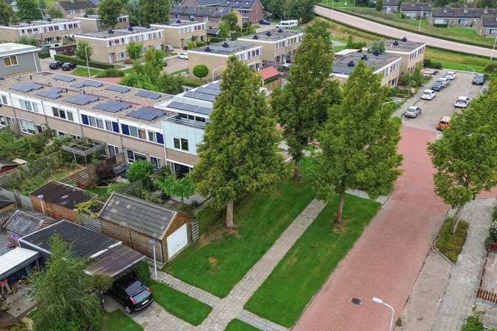 Photo 28 of Fluit 28