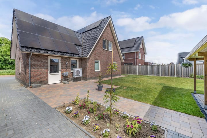 Foto 25 van Chrysant 22