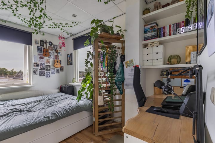 Photo 40 of Fluit 28