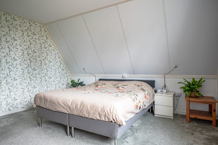 Foto 35 van Chrysant 22