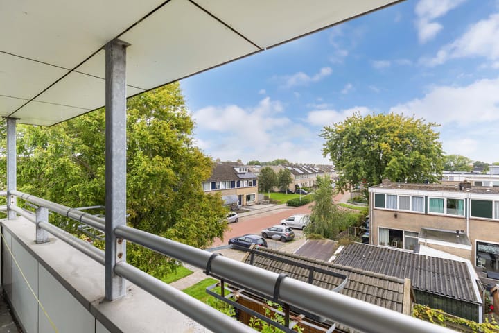 Photo 43 of Fluit 28