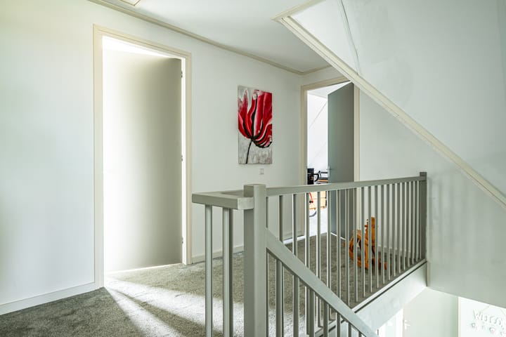 Foto 40 van Chrysant 22