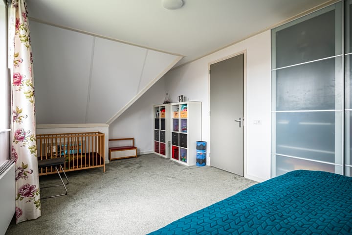 Foto 42 van Chrysant 22