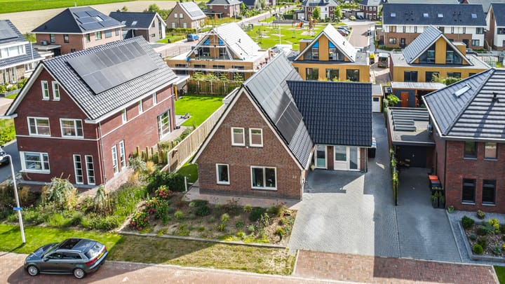 Foto 46 van Chrysant 22