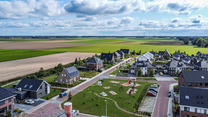 Foto 47 van Chrysant 22