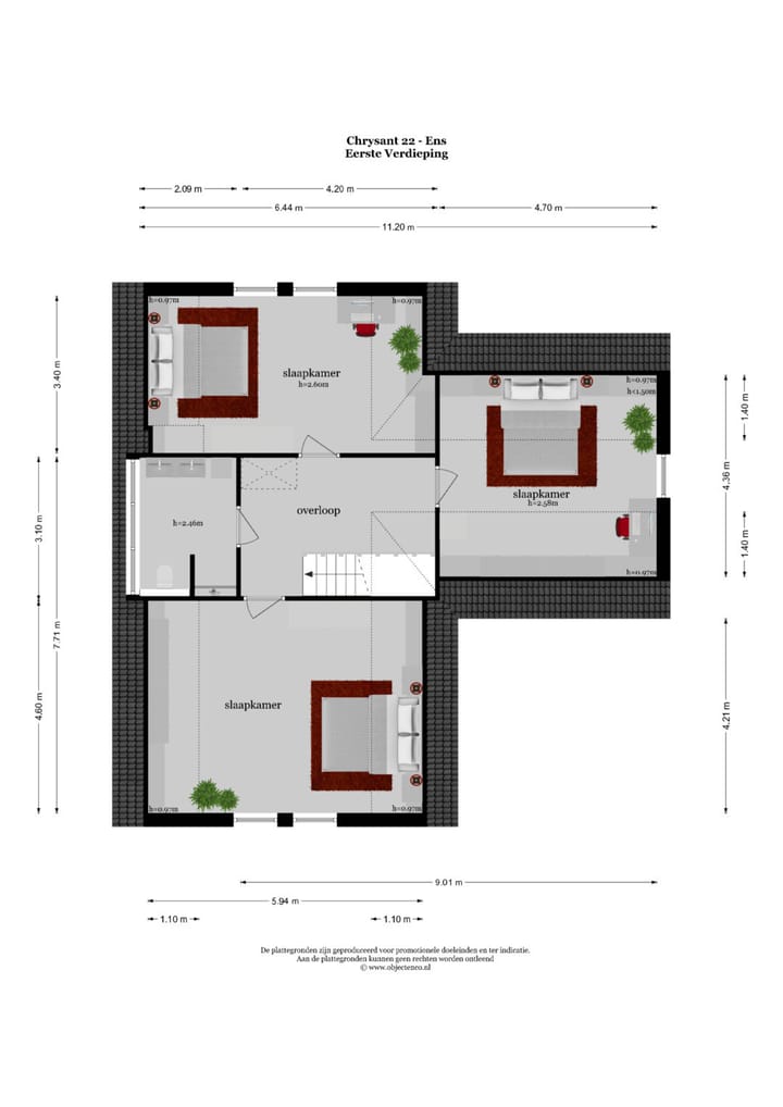 Foto 51 van Chrysant 22