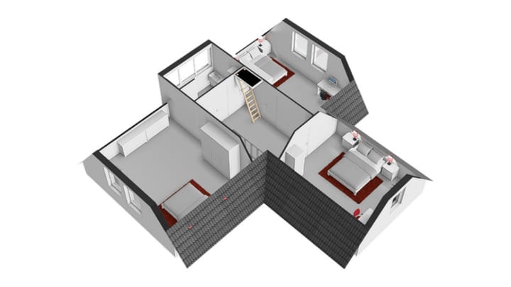 Foto 53 van Chrysant 22