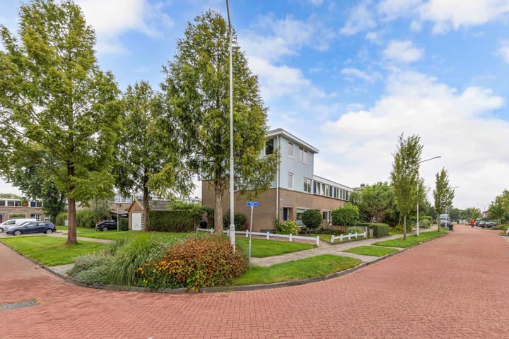 Photo 48 of Fluit 28