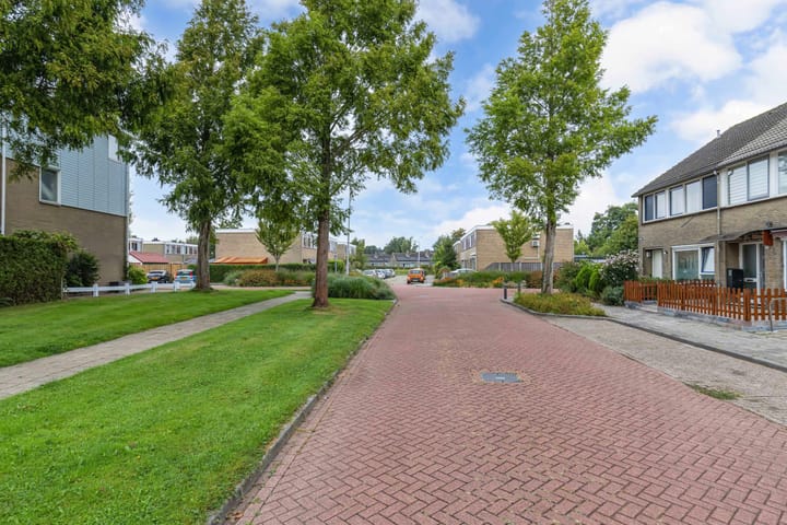 Photo 51 of Fluit 28